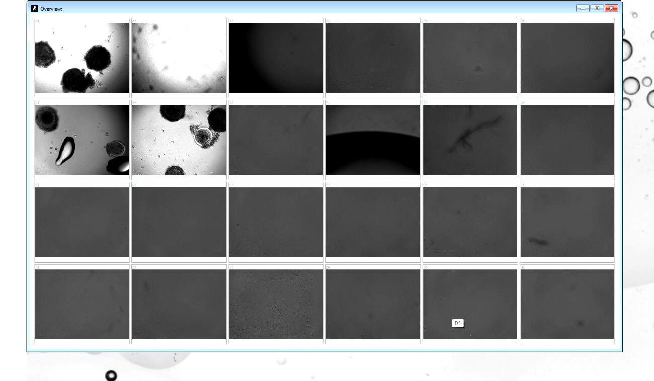 zenCELL owl IVF software — embryo monitoring overview with 24-well grid
